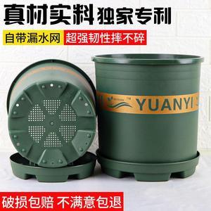 哪几个盆栽植物品牌好？盆栽植物品牌排行榜前十