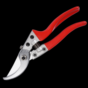 安徽广徽古建筑园林营造有限公司品牌介绍