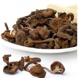 榛蘑哪个品牌最好？榛蘑品牌排行榜前十