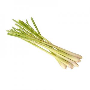 柠檬草有哪些牌子?品牌柠檬草推荐