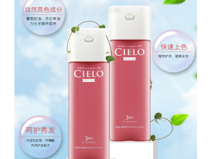 日本染发剂什么牌子好？日本最好的十大染发剂品牌