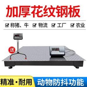 哪几个地磅品牌好？地磅品牌排行榜前十