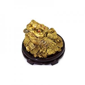 金蟾蜍有哪些牌子？品牌金蟾蜍推荐