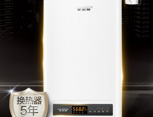 全球燃气热水器排行榜10强？世界燃气热水器十大品牌排名