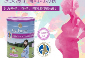 全球孕妇奶粉什么牌子好？世界十大孕妇奶粉品牌排行榜