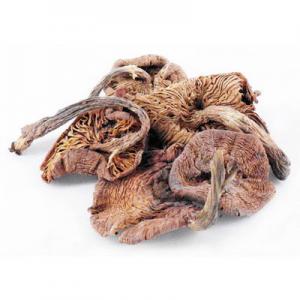 哪几个野生榛蘑品牌好？野生榛蘑品牌排行榜前十