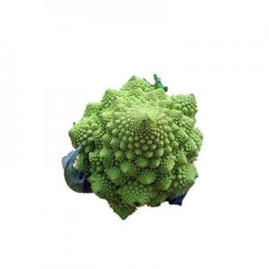 哪几个宝塔菜品牌好？十大宝塔菜品牌推荐