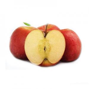 野苹果品牌logo