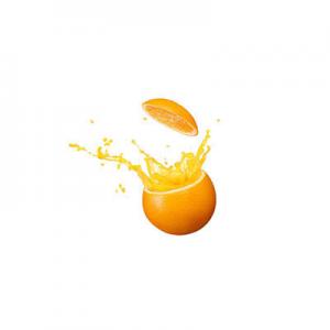 橙子果肉品牌logo