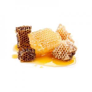 野生蜂蜜品牌logo