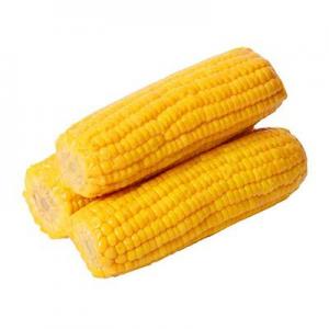 玉米棒品牌logo