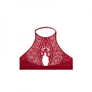 性感蕾丝文胸品牌logo