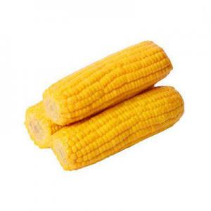 水果玉米品牌logo