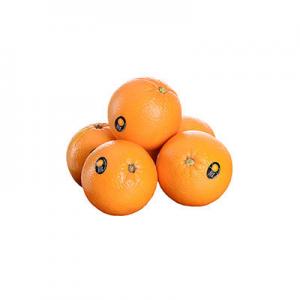 橙子品牌logo