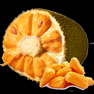 红肉菠萝蜜品牌logo