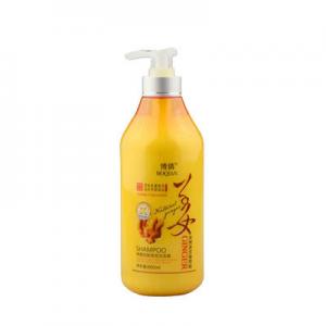姜汁洗发水品牌logo