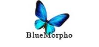 bluemorpho品牌logo