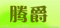腾爵品牌logo