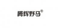 腾辉野马品牌logo