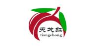 天戈红品牌logo