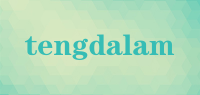 tengdalam品牌logo