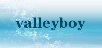valleyboy品牌logo