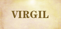 VIRGIL品牌logo
