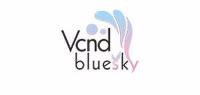 VCNDBLUESKY品牌logo