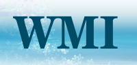 WMI品牌logo