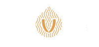 薇薇秘密品牌logo