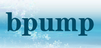 bpump品牌logo
