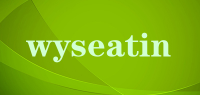 wyseatin品牌logo