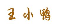 王小鸭品牌logo