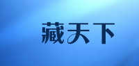 寶藏天下品牌logo