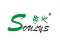 象也soulys品牌logo
