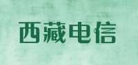 西藏电信品牌logo