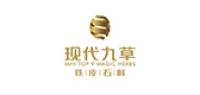 现代九草品牌logo