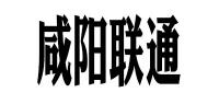 咸阳联通品牌logo