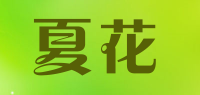 夏花品牌logo
