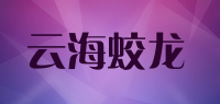 云海蛟龙品牌logo