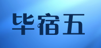 毕宿五品牌logo