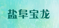 盐阜宝龙品牌logo