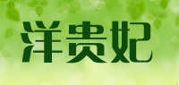 洋贵妃品牌logo