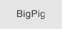 BIGPIG品牌logo