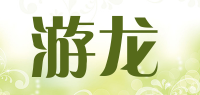 游龙品牌logo