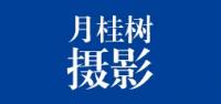 月桂树品牌logo
