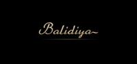 巴利迪亚品牌logo