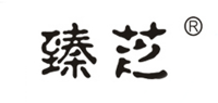 臻芝品牌logo