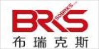 布瑞克斯品牌logo