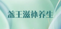 盏王滋补养生品牌logo